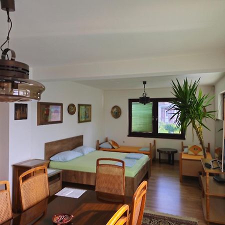 Peaceful Vacation Villa & Garden Сараєво Екстер'єр фото